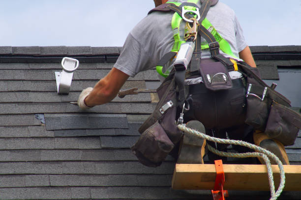 Best Roof Gutter Cleaning  in Harlan, IN