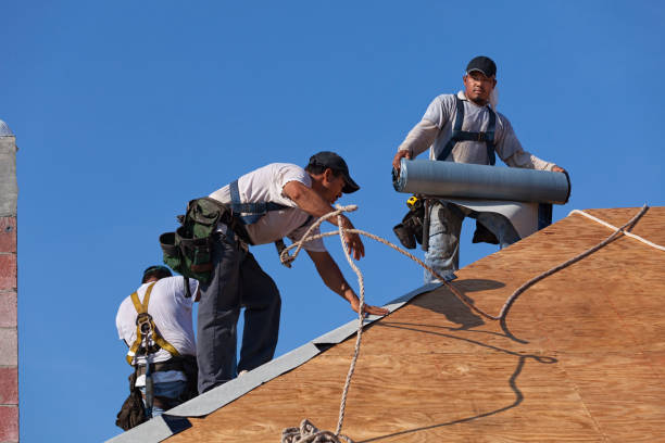 Professional Roofing Contractor in Harlan, IN
