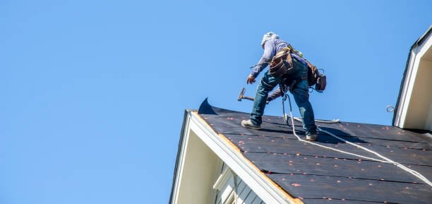 Best Roof Maintenance Services  in Harlan, IN